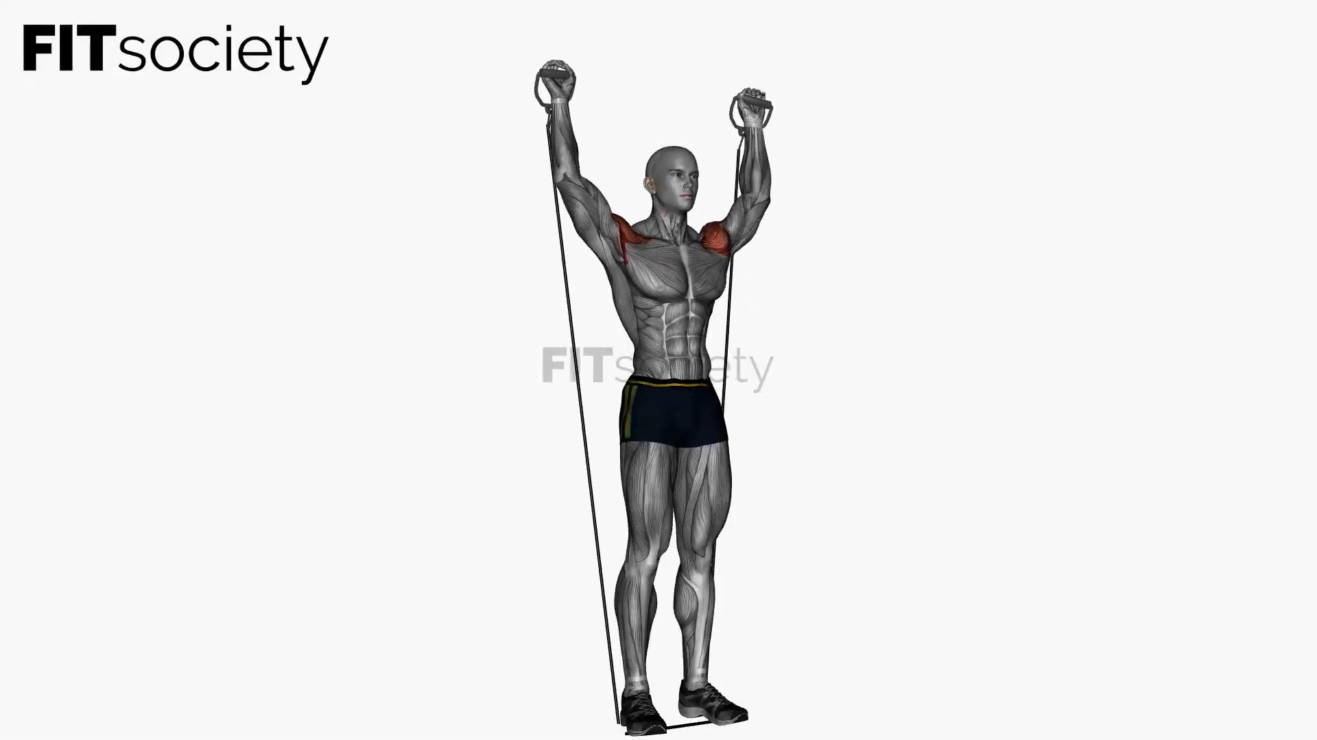 Behind Neck Press Resistance Band Cable