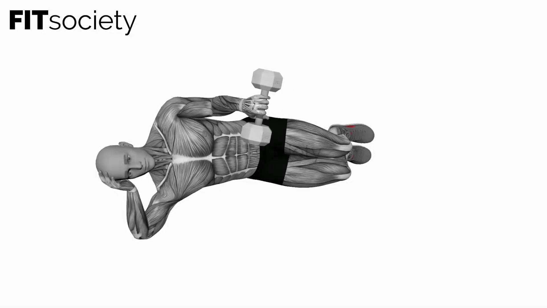 Dumbbell Lying Pronation Rotation on Floor
