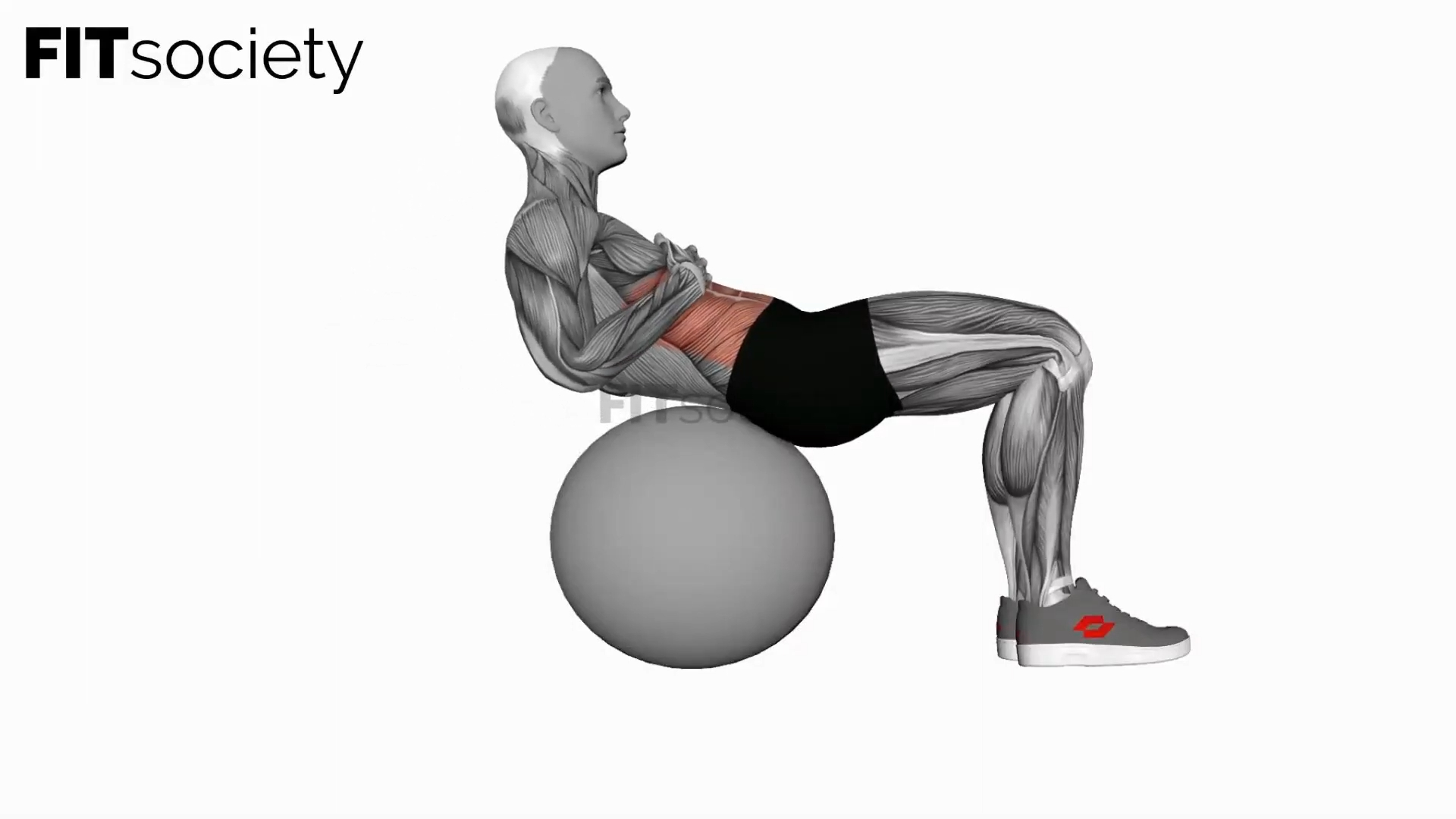 Crunch (On Stability Ball)