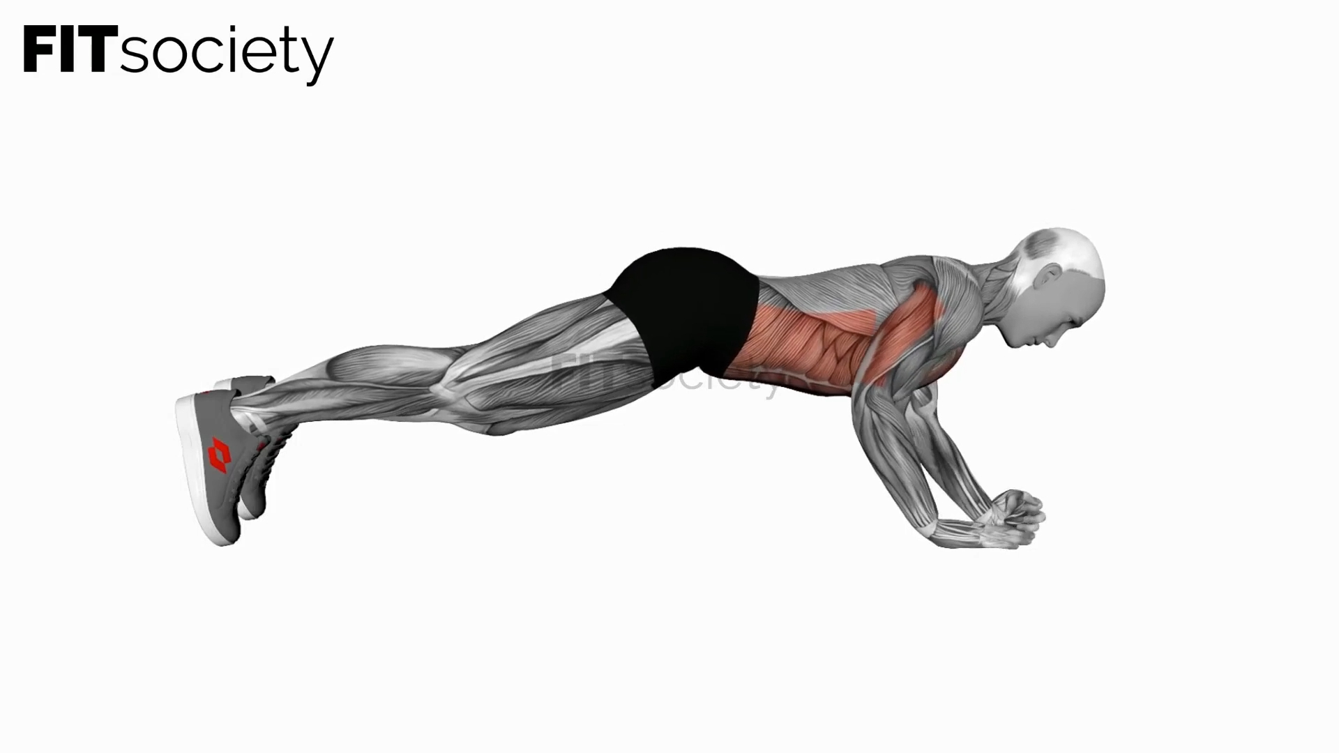 Elbow-Up and Down Dynamic Plank
