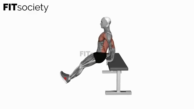 Chest Dip on Bench