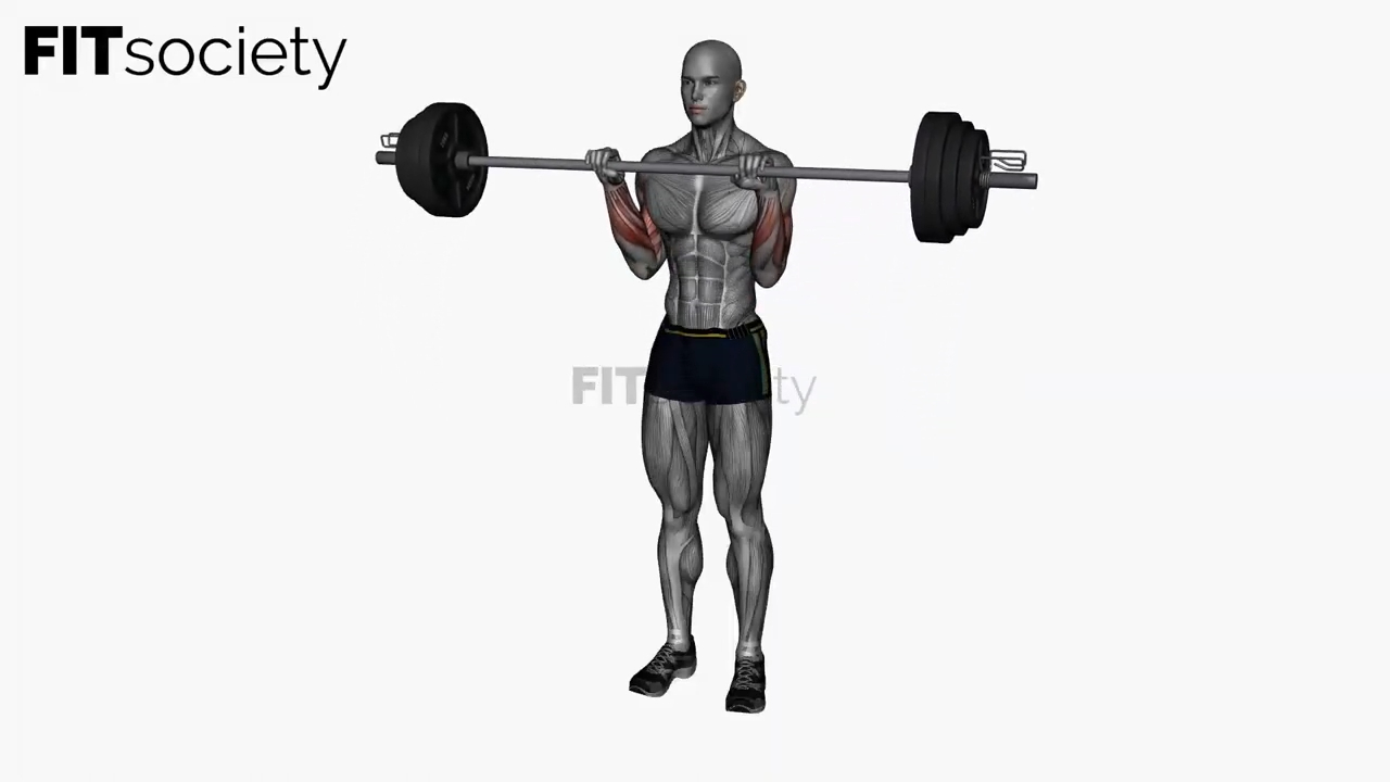 Reverse-Curls mit Langhantel