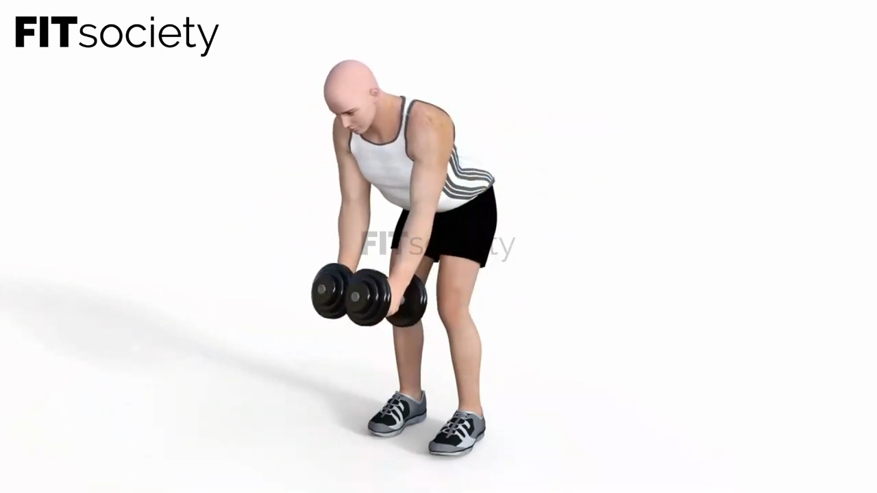 Bent-Over Lateral Raises