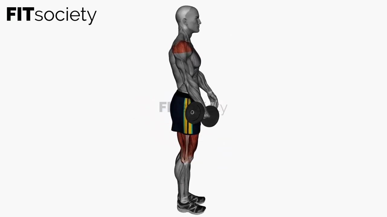 Single Leg Romanian Deadlift Dumbbell