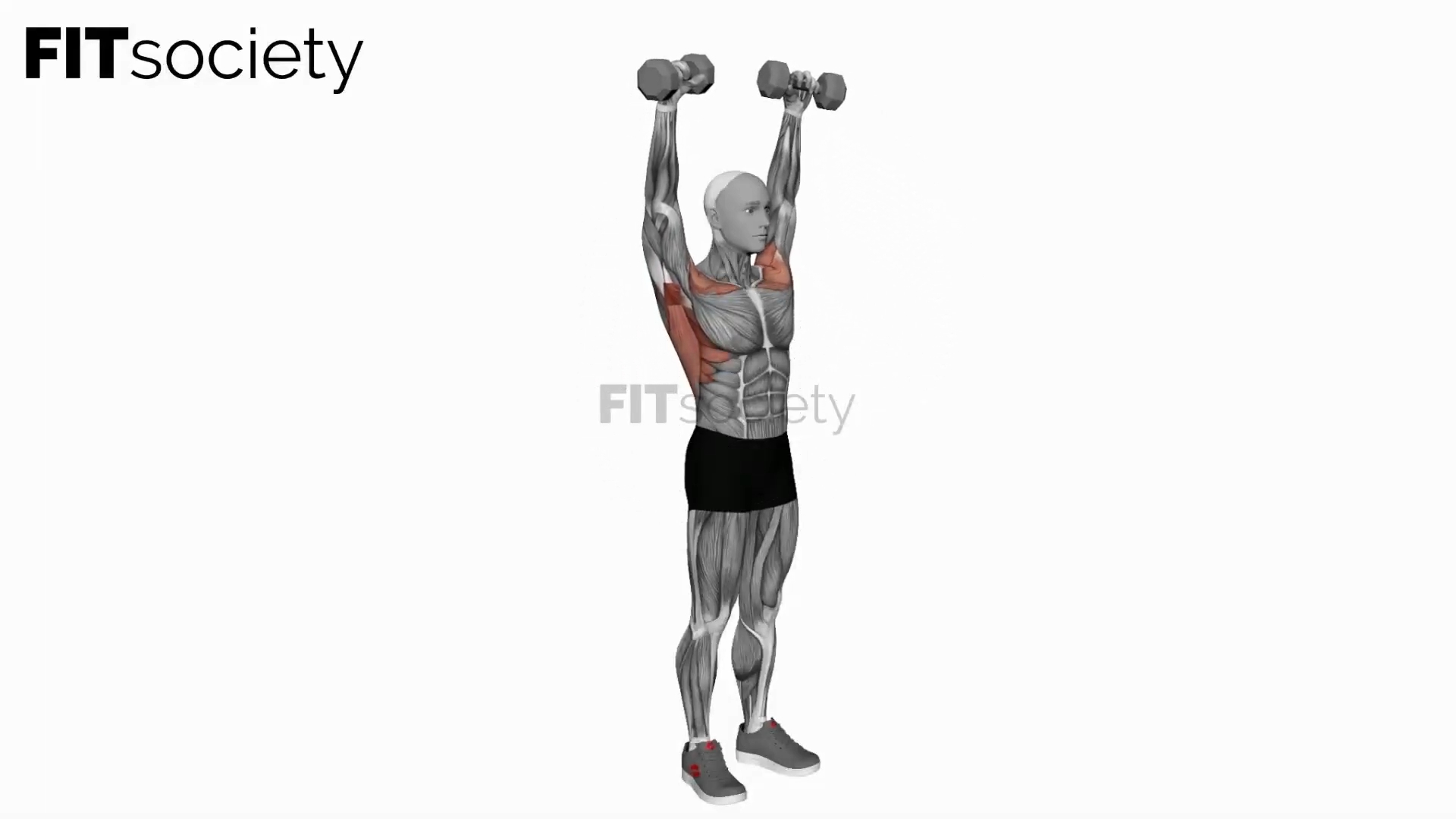 Dumbbell Standing Around the World