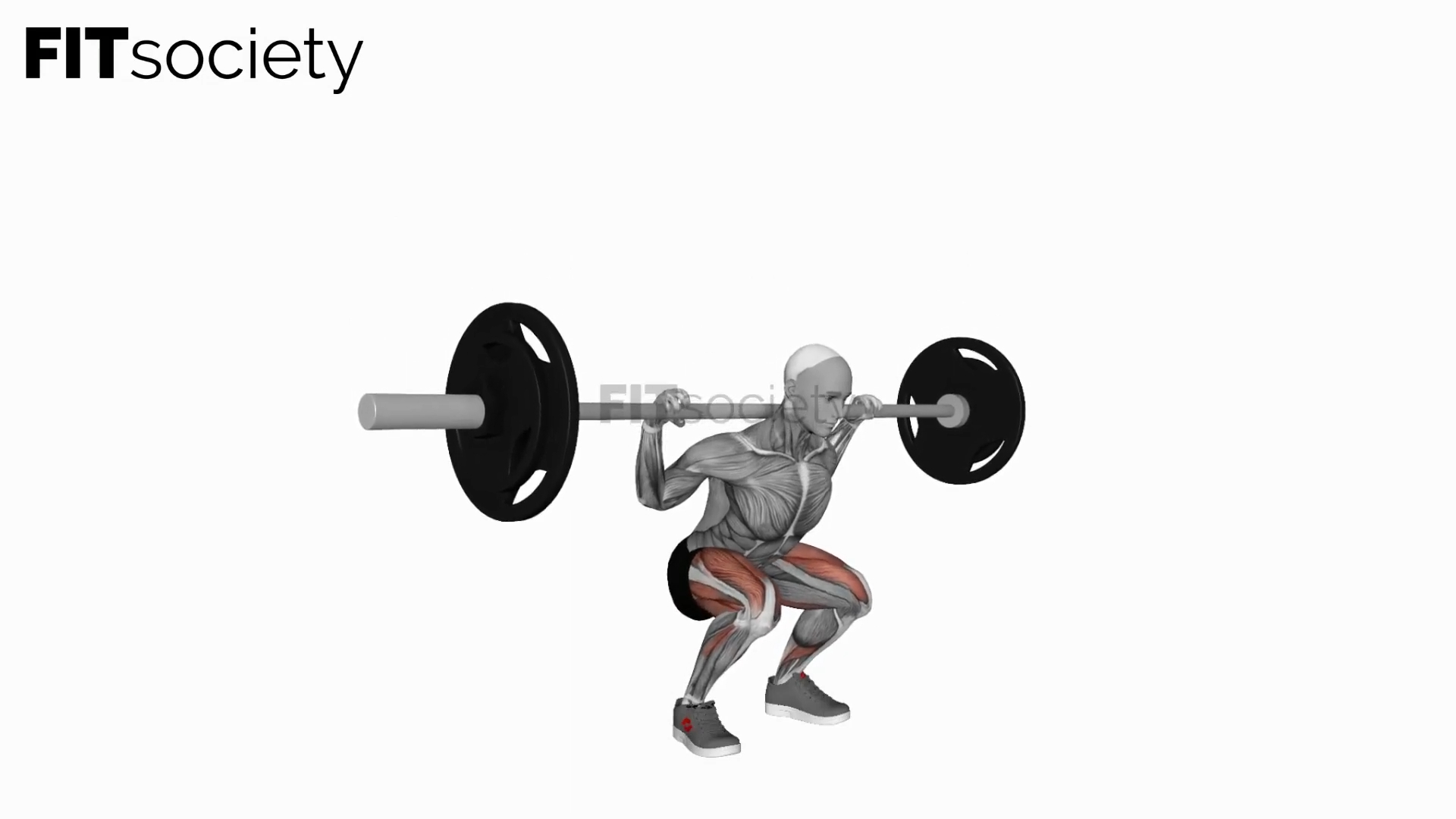 Barbell Low Bar Squat