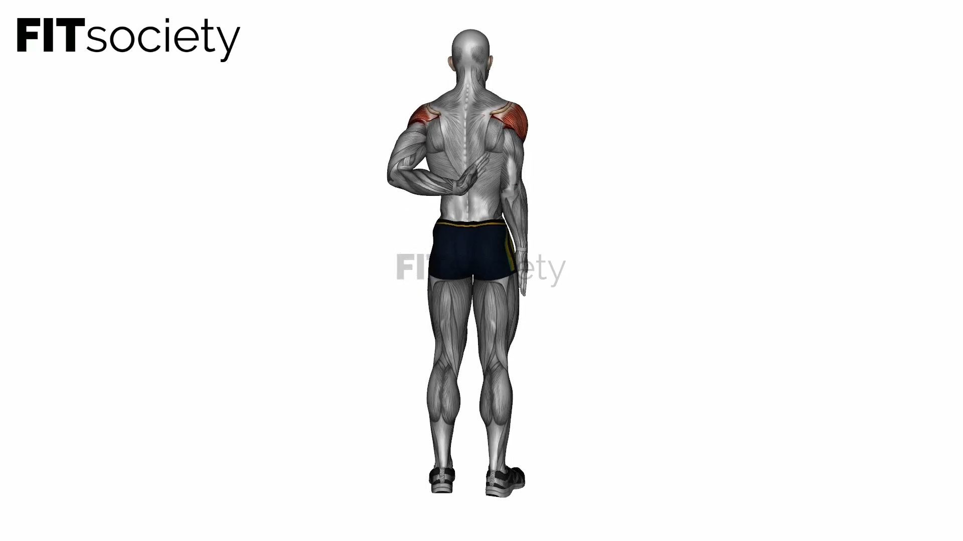 Reaching Up Shoulder Stretch