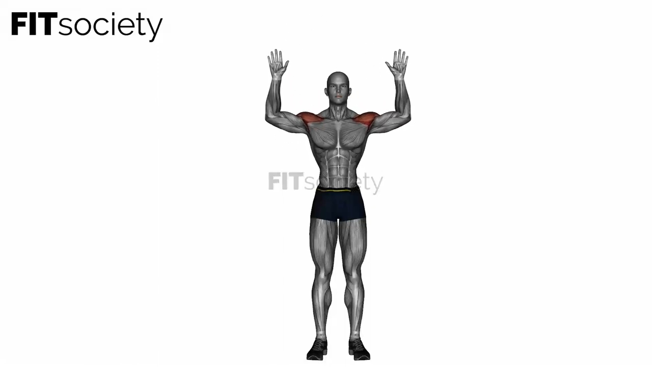 Military Press Bodyweight