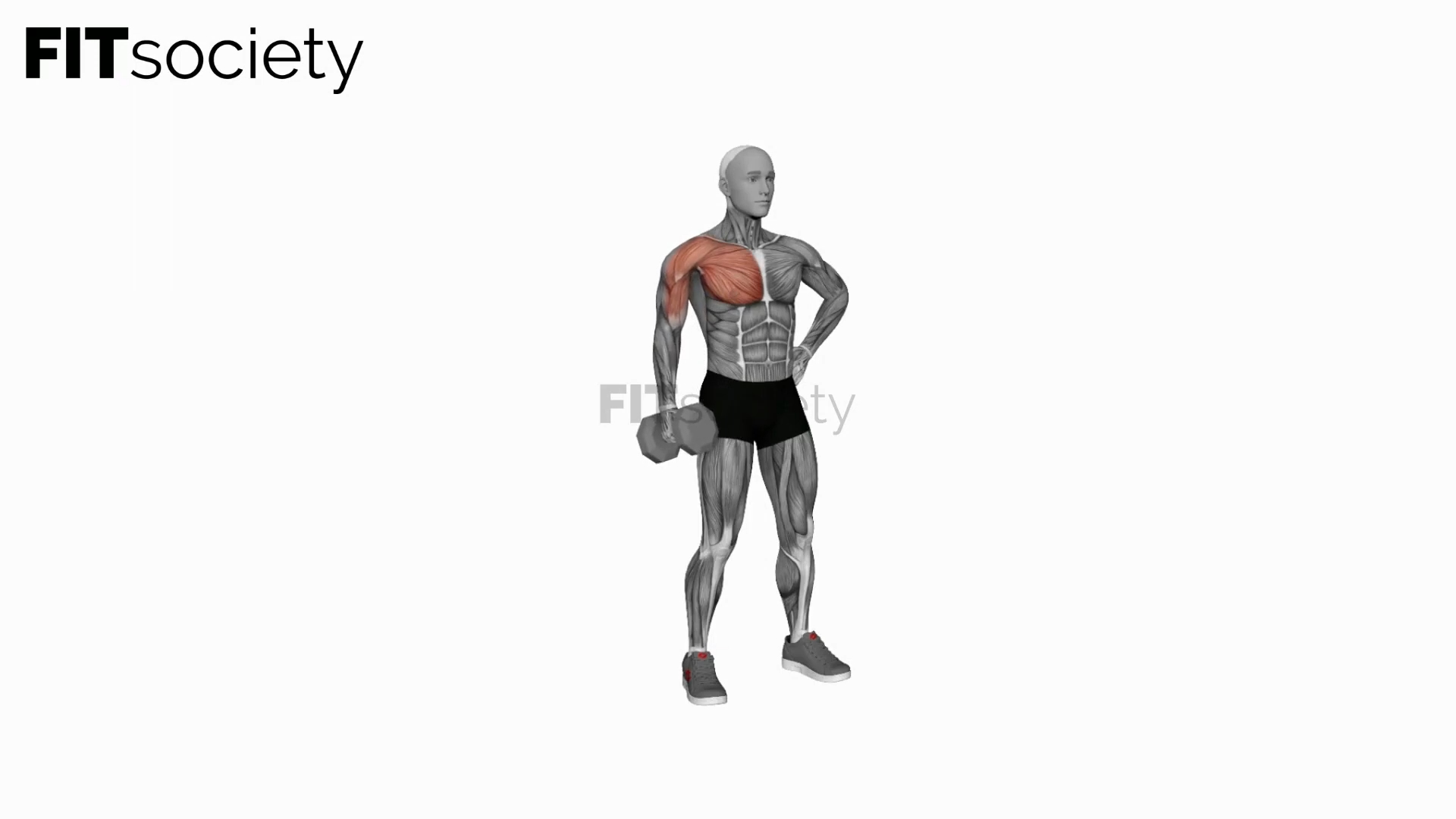 Dumbbell Standing Single Arm Cross Raise