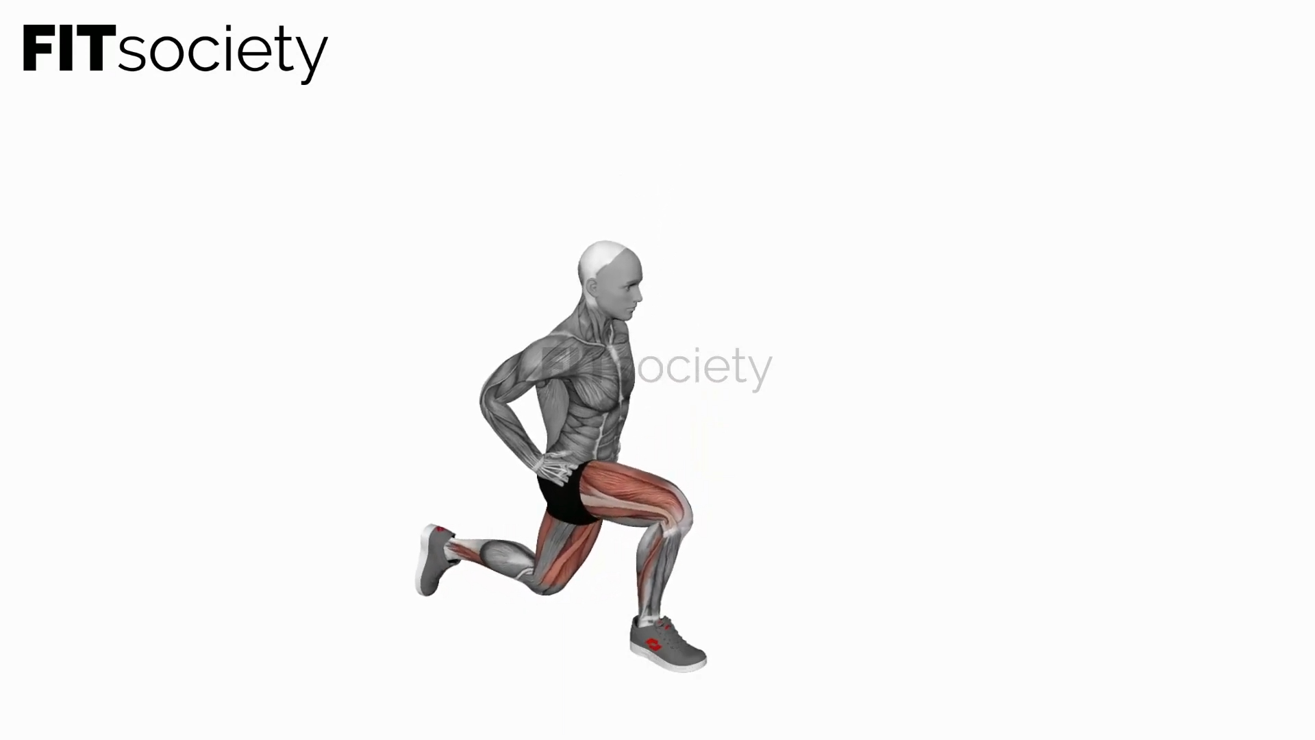 Bodyweight Rear Lunge