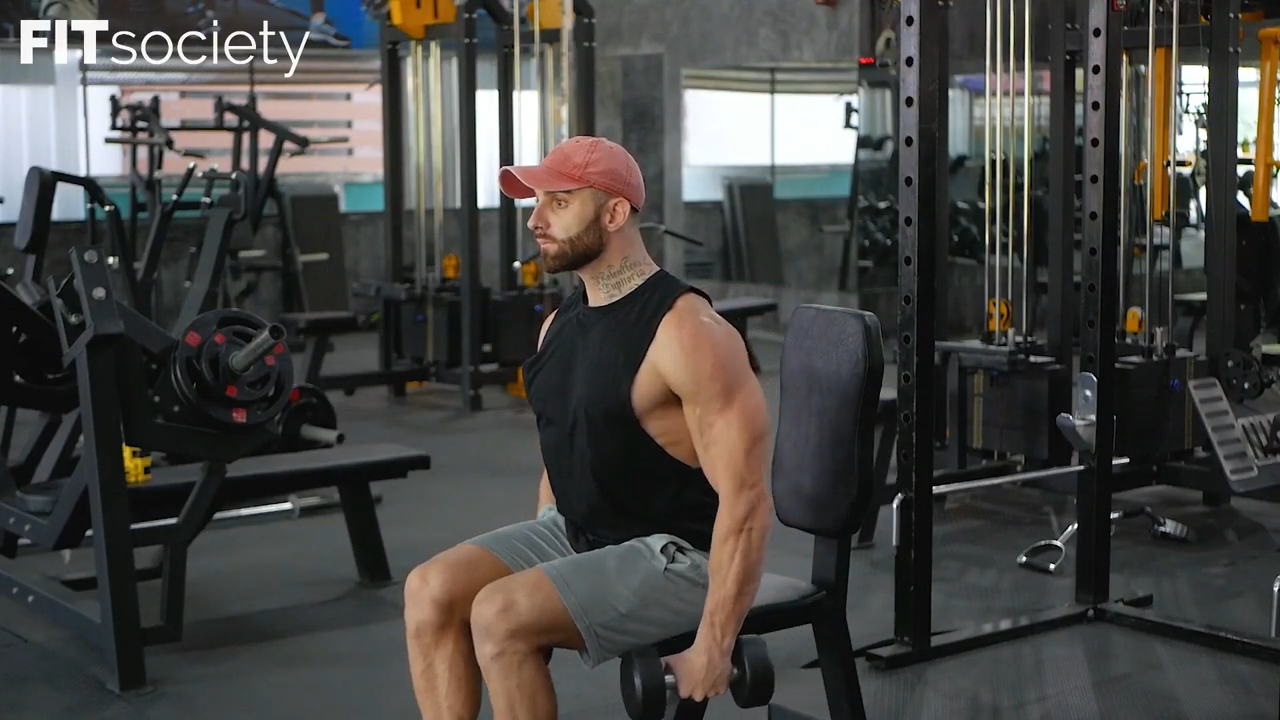 Dumbbell Seated Lateral Raises