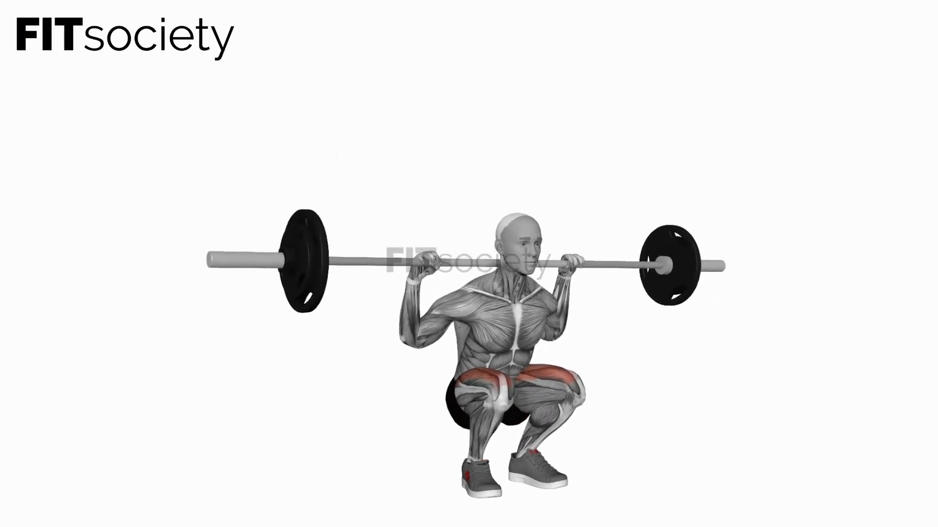 Barbell Squat To Grass