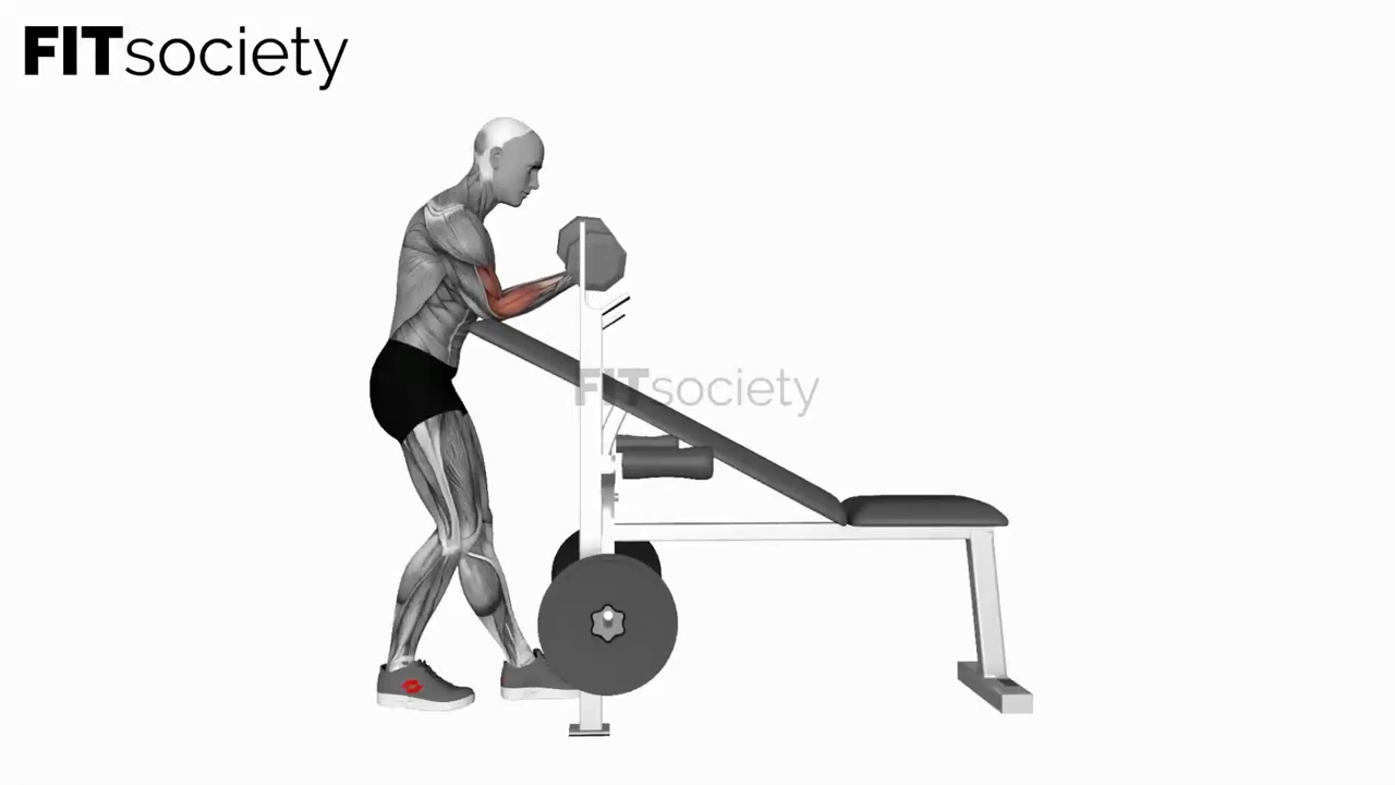 Dumbbell Standing One Arm Curl Over Incline Bench