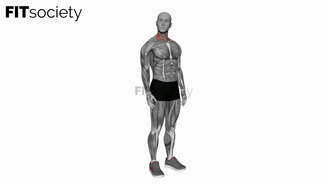 Backward Forward Turn To Side Neck Stretch