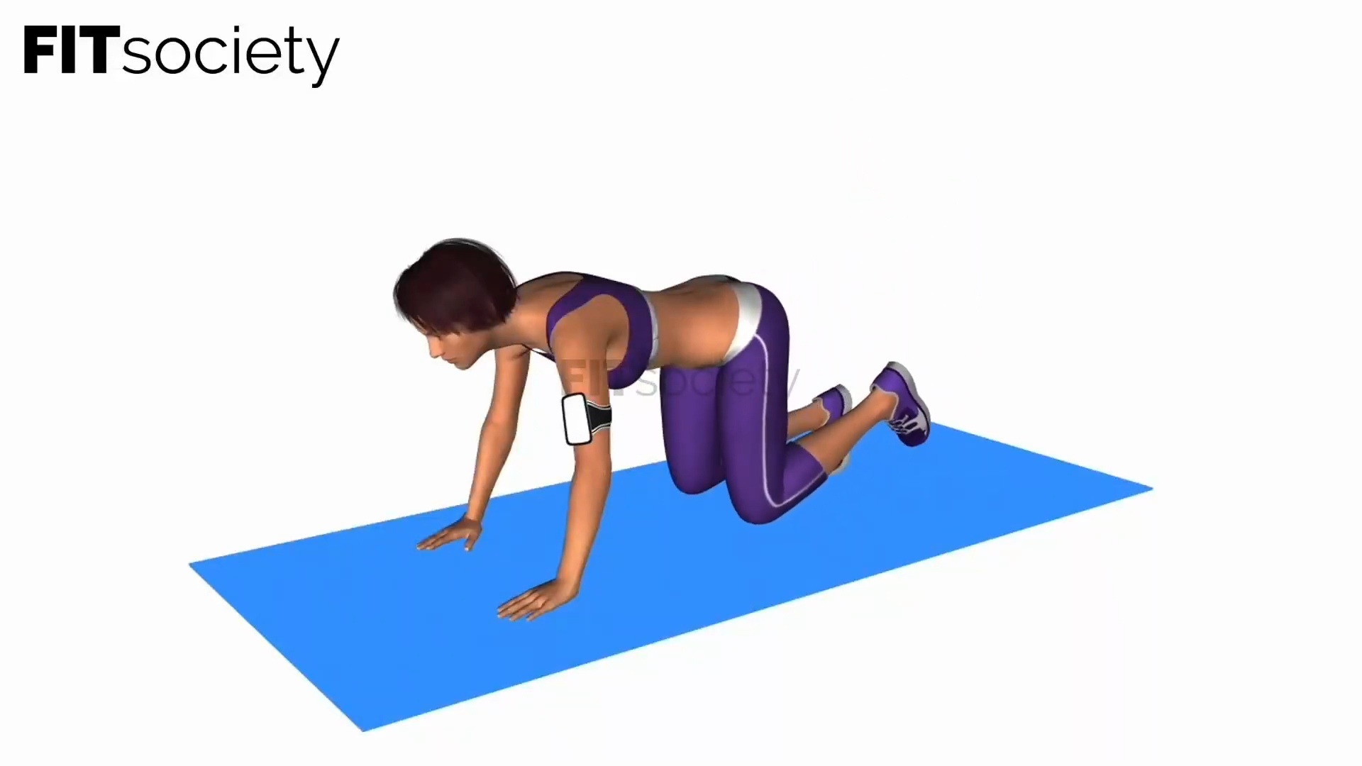 Donkey Kicks
