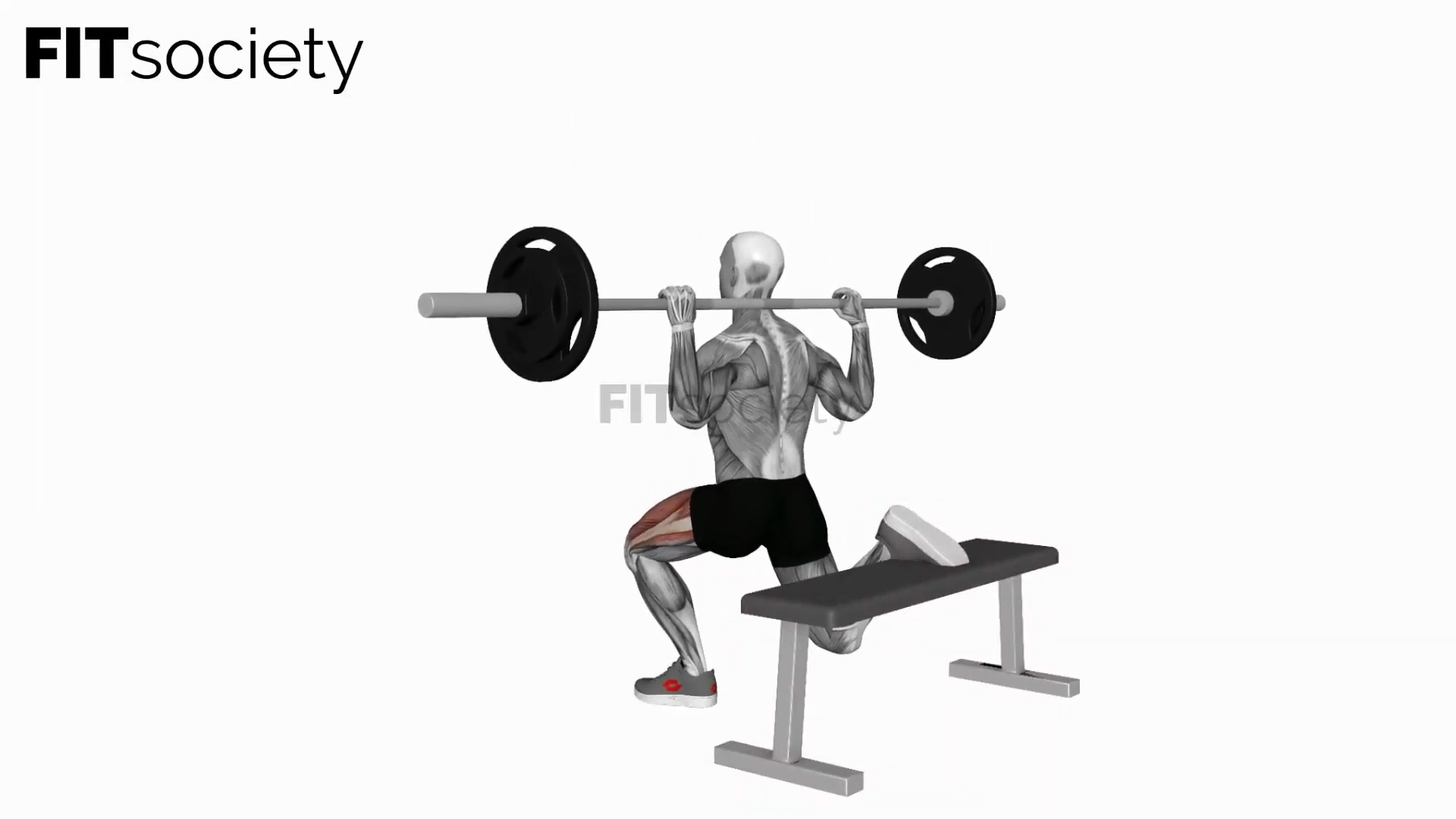 Barbell Bulgarian Split Squat