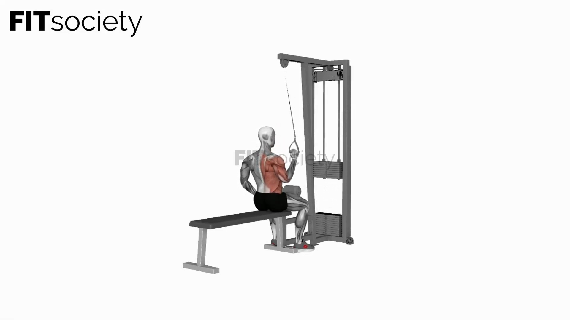 Cable One Arm Lat Pulldown