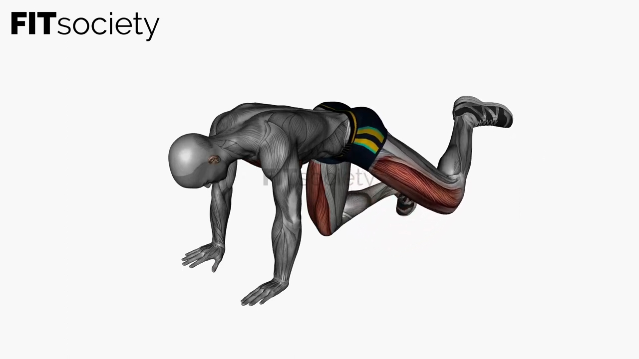 Fire Hydrant Circle Bodyweight