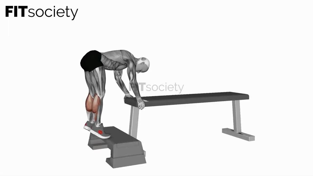 Donkey Calf Raise