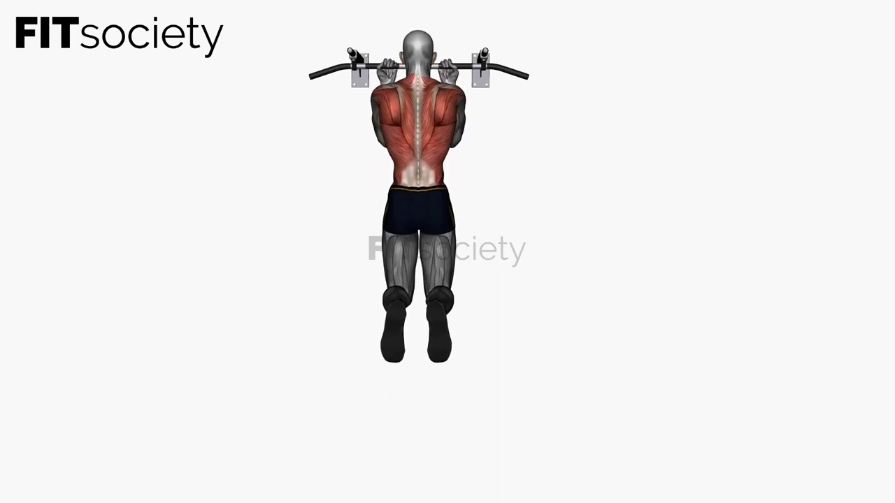 Chin-Up (Reverse, Normal Grip)