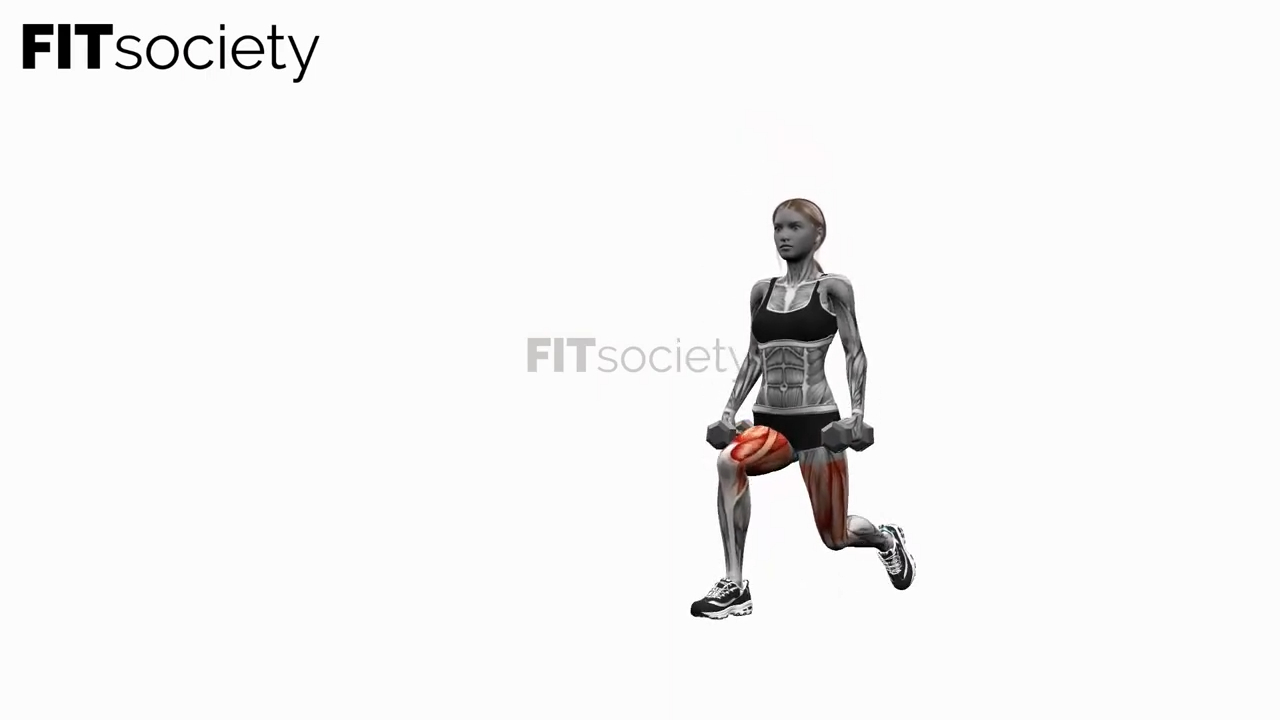 Dumbbell Reverse Lunges Pulses