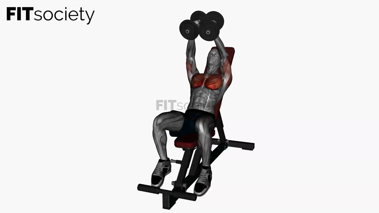 Dumbbell Fly Incline Bench