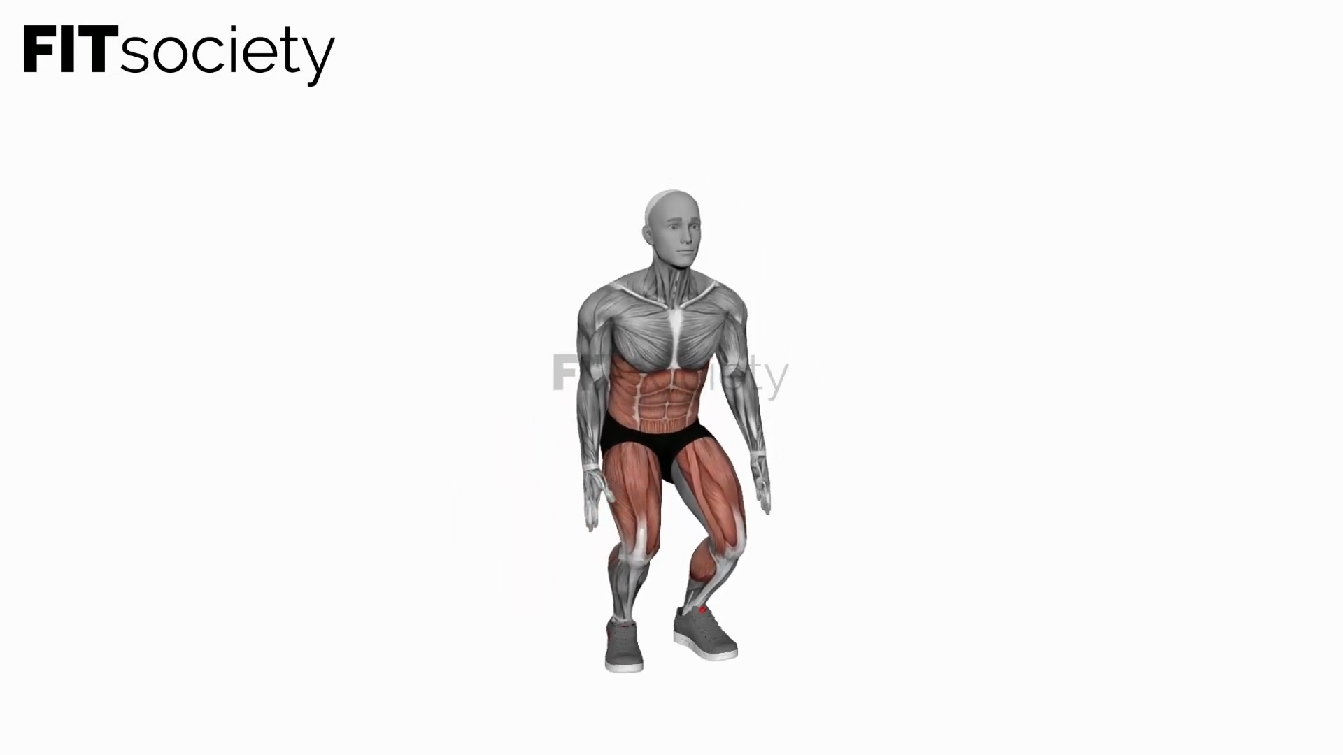 Bodyweight Squat to Side Leg Lift