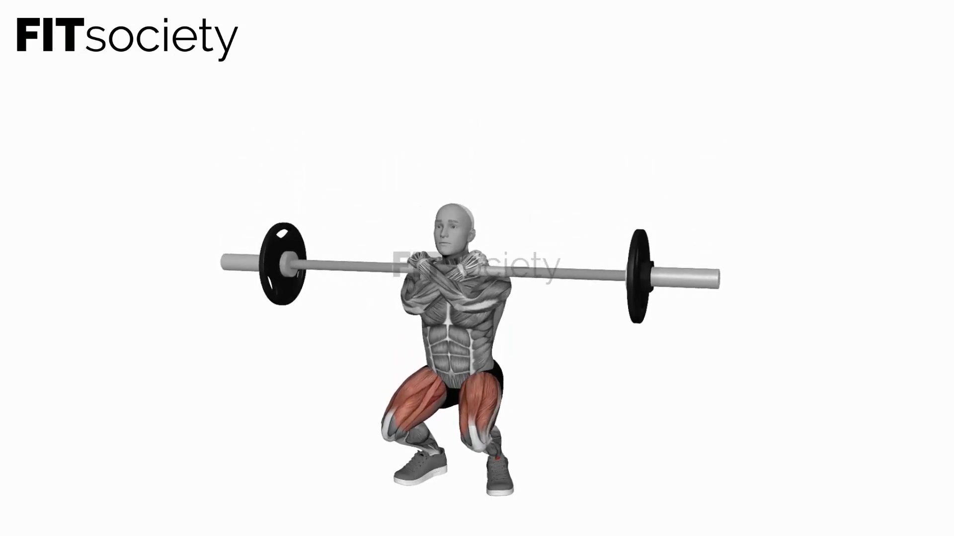 Barbell Front Squats