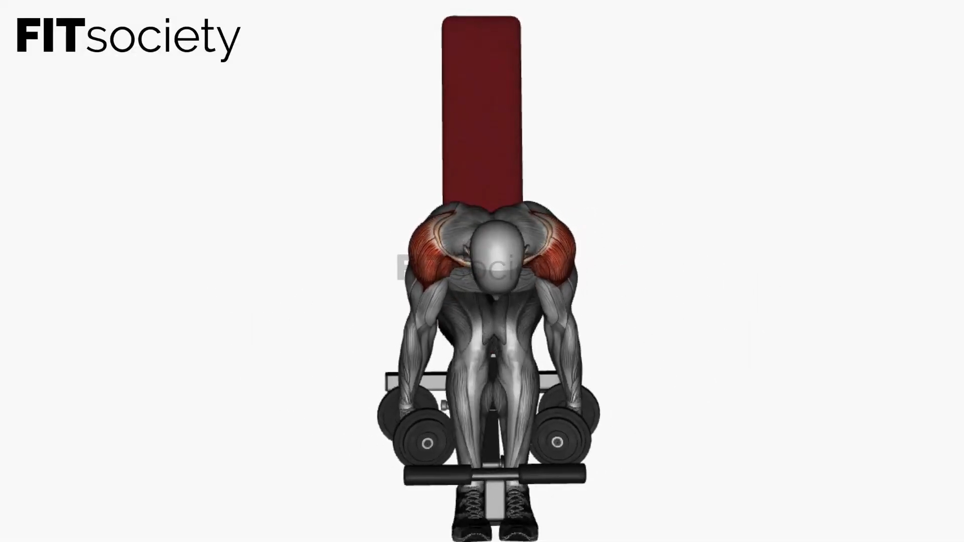 Seated Dumbbell Rear Delt Fly