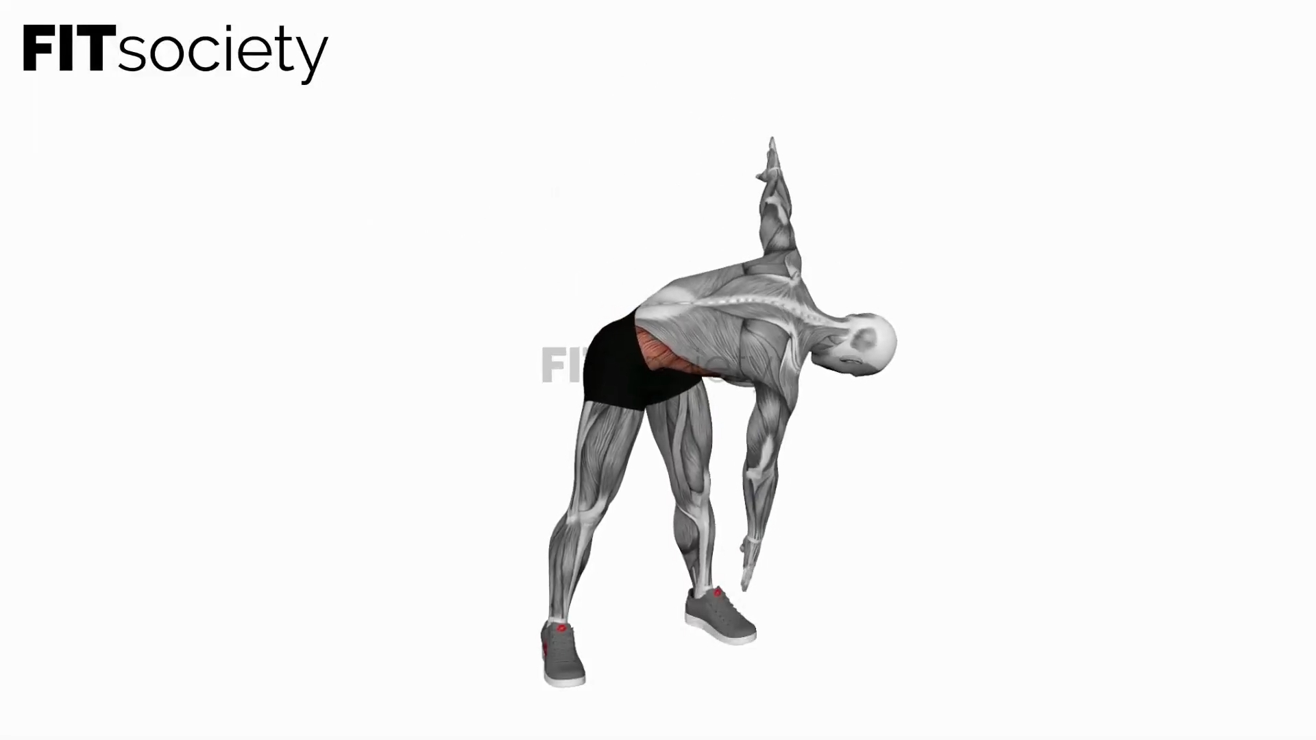 Bodyweight Windmill Cut