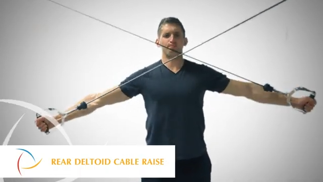Rear Deltoid Cable Raise