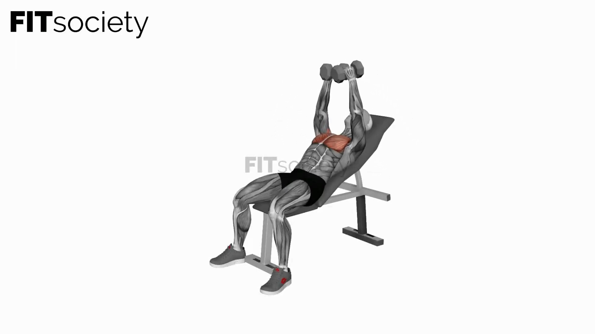 Incline Dumbbell Fly
