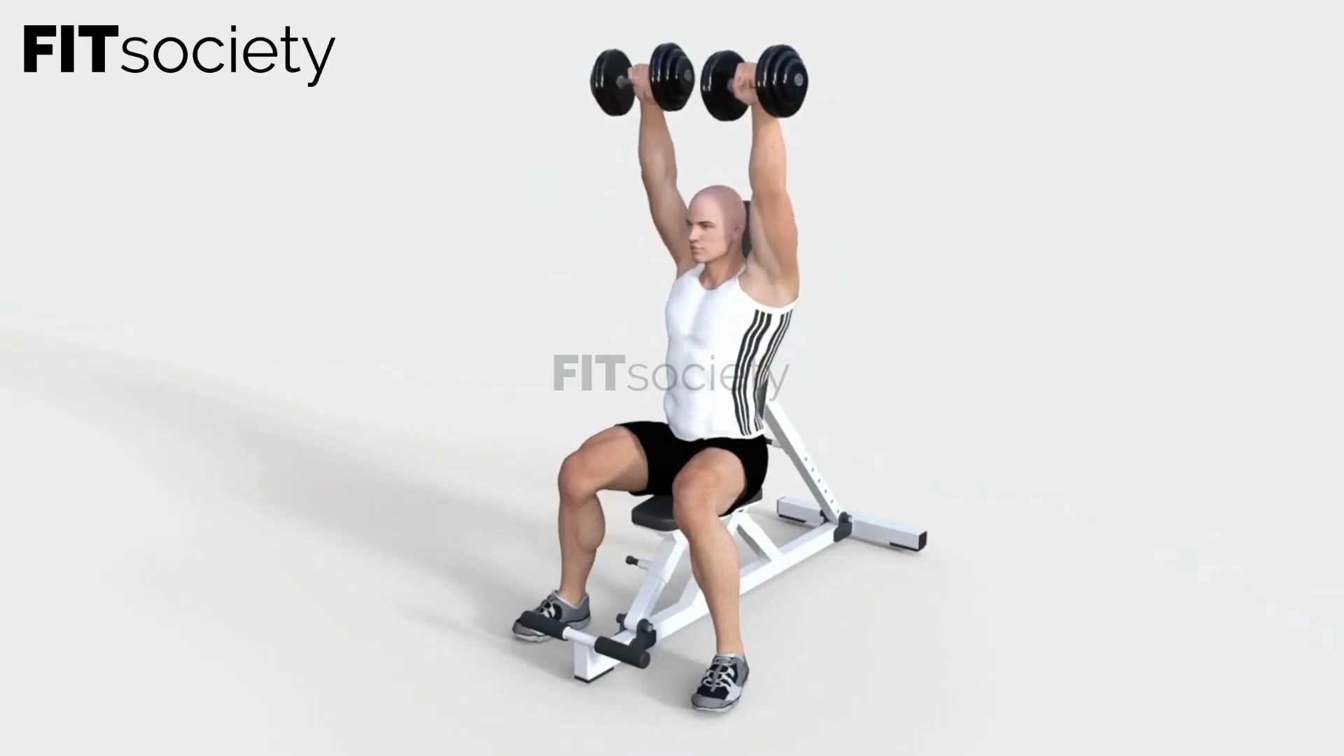 Seated Arnold Press