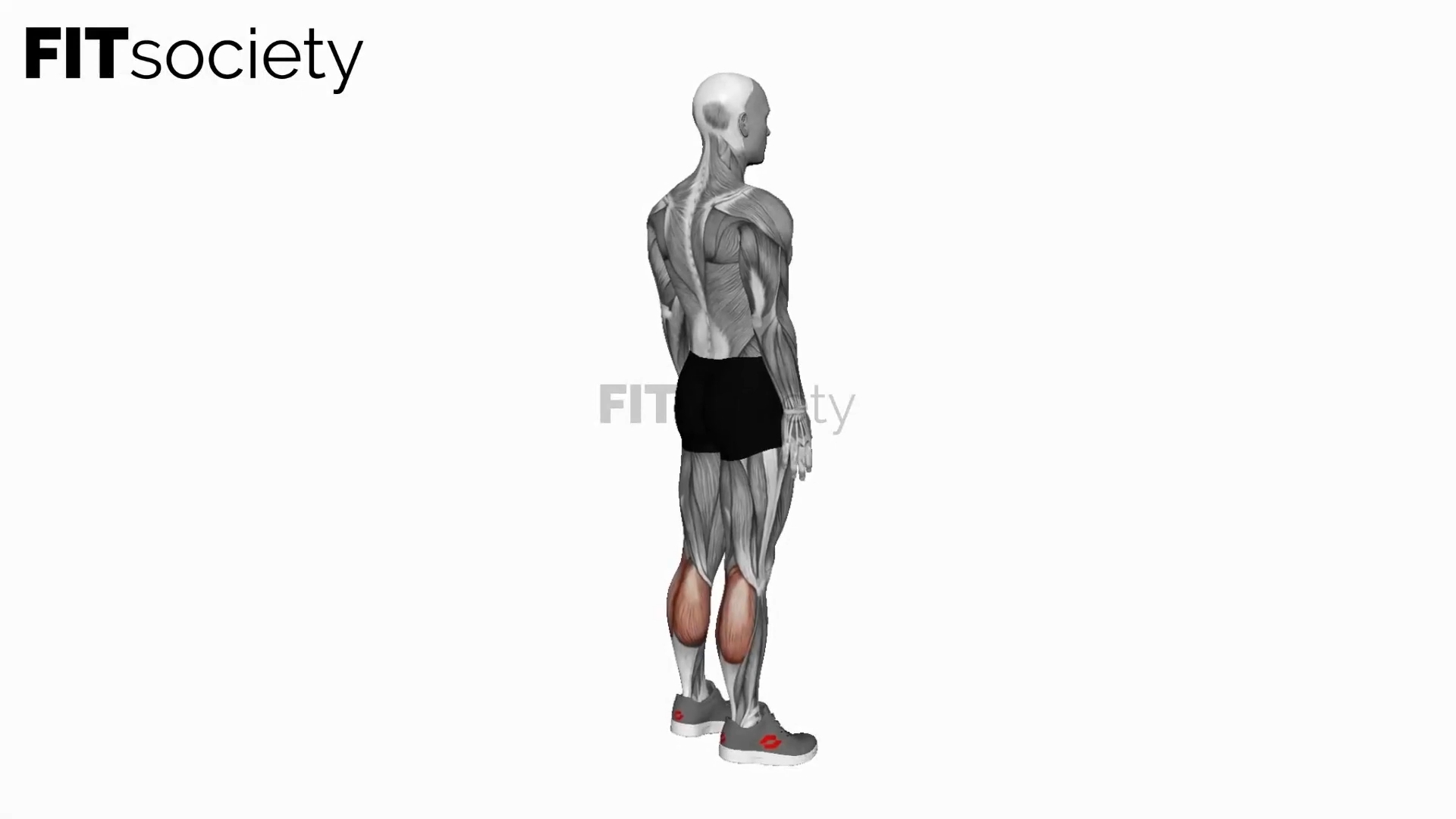 Bodyweight Standing Calf Raise
