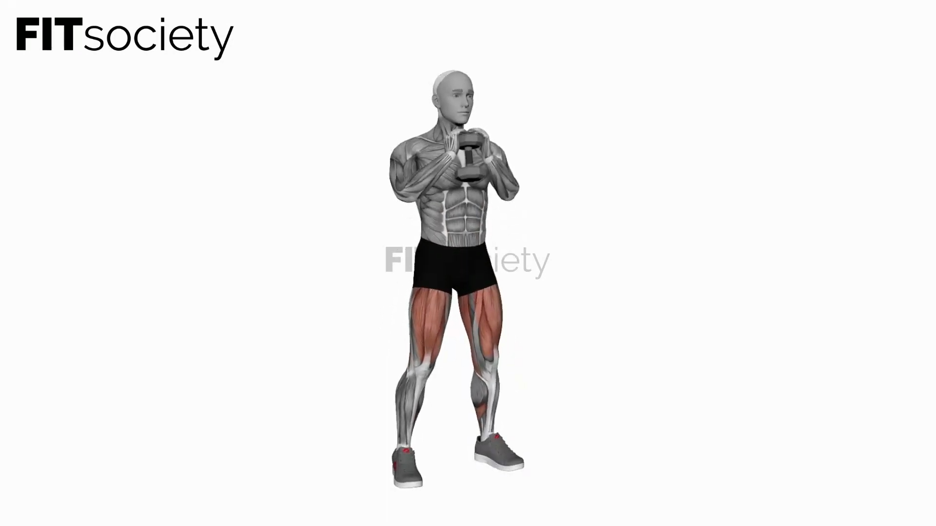 Dumbbell Goblet 2 Sec Hold Squat