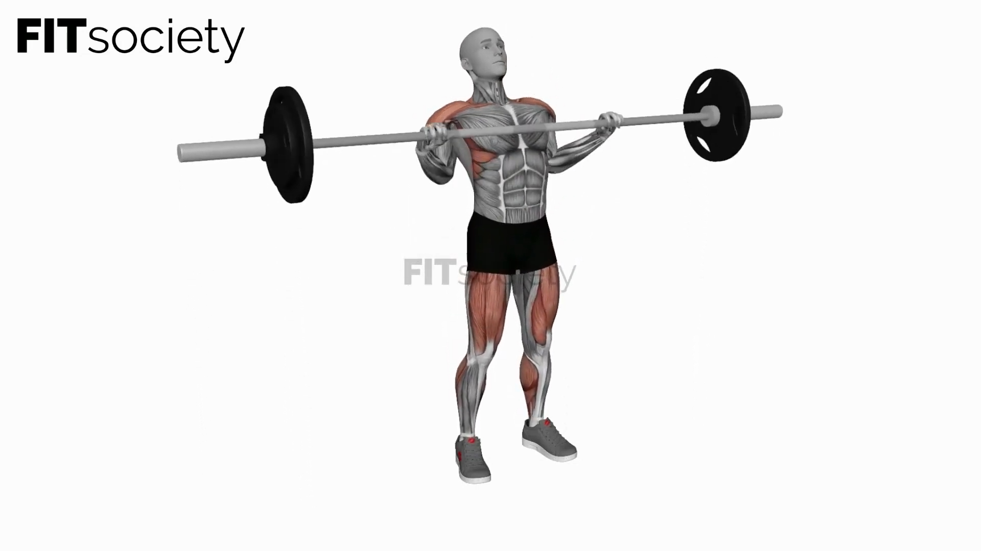 Barbell Power Clean