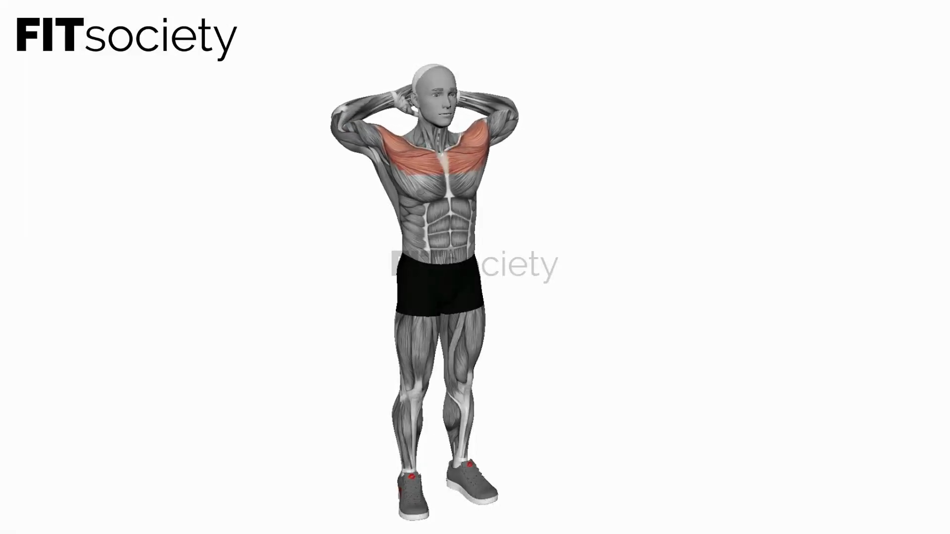 Bodyweight Standing Triangle Fly