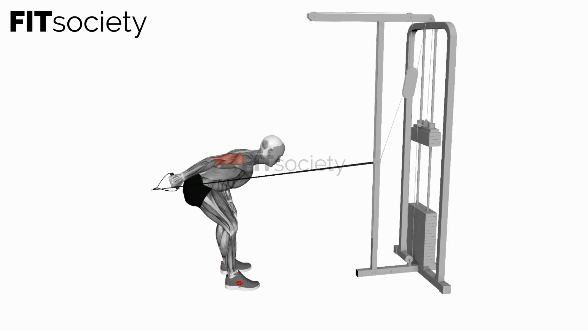 Cable Neutral-Grip Kickback