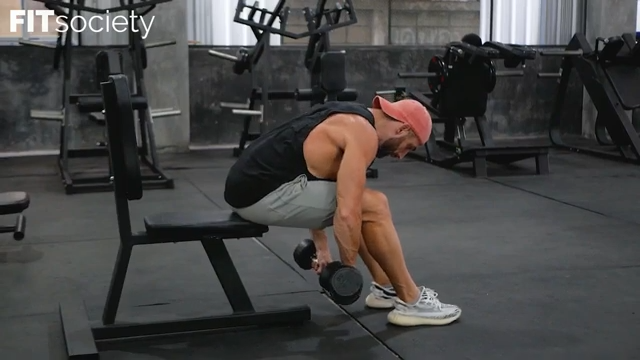 Dumbbell Side Raises