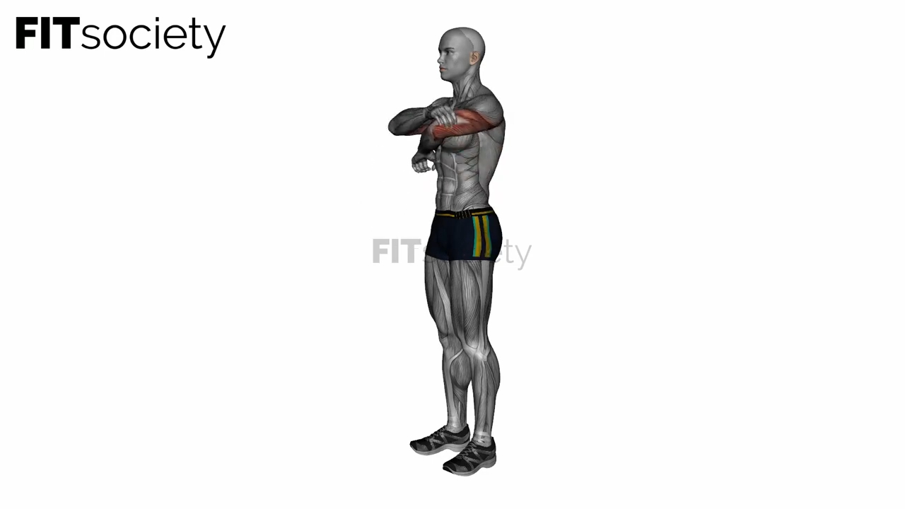 Triceps Light Stretch