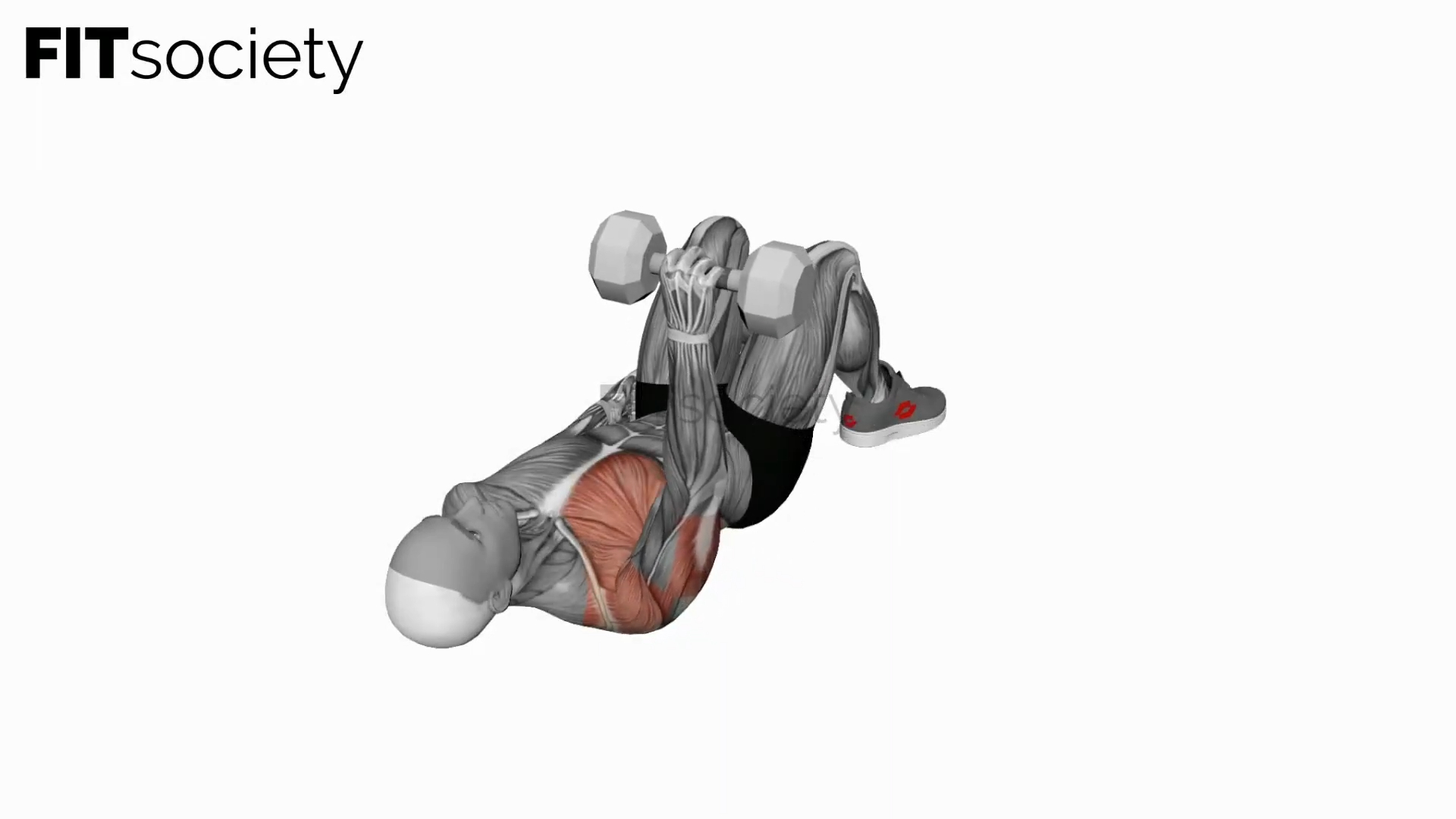 Dumbbell Single Arm Floor Press From Close Elbow