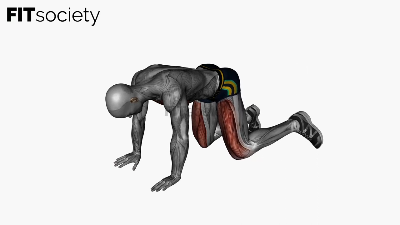 Fire Hydrant Circle Bodyweight