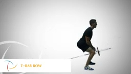 T-Bar Row