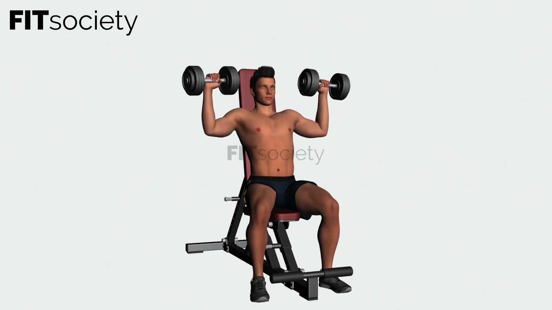 Seated Overhead Press