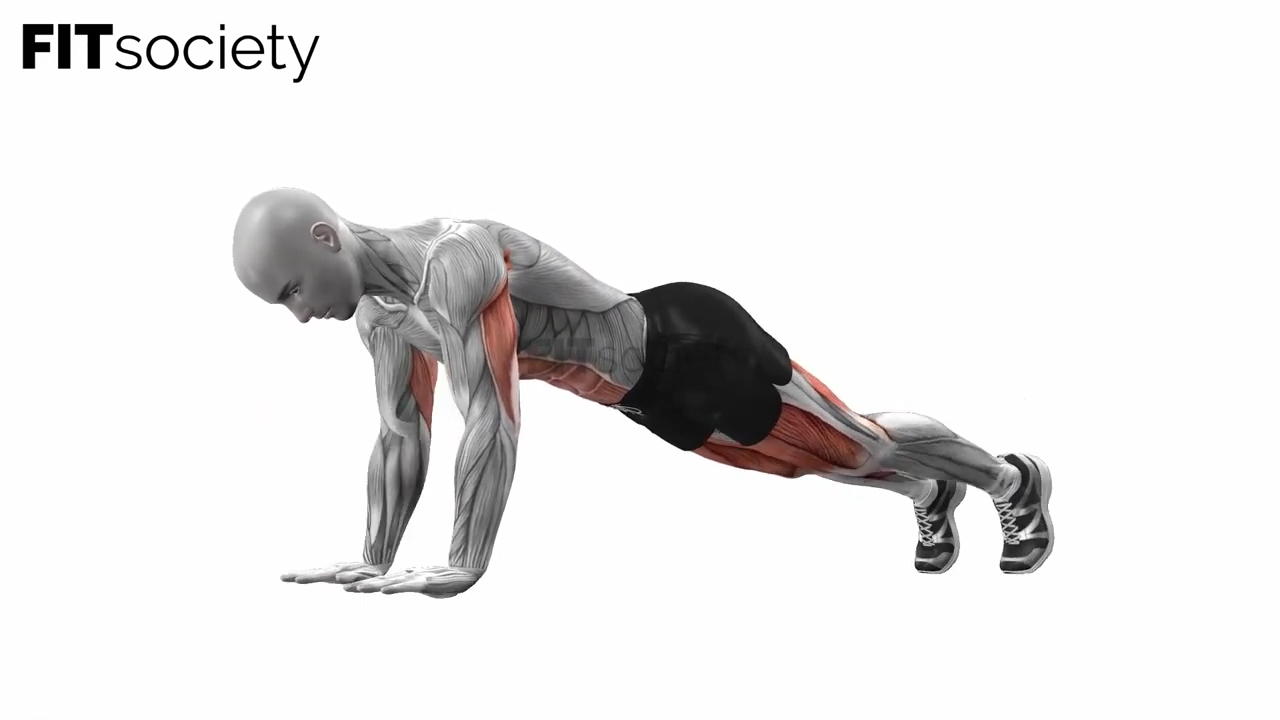Alternate Arm Leg Plank