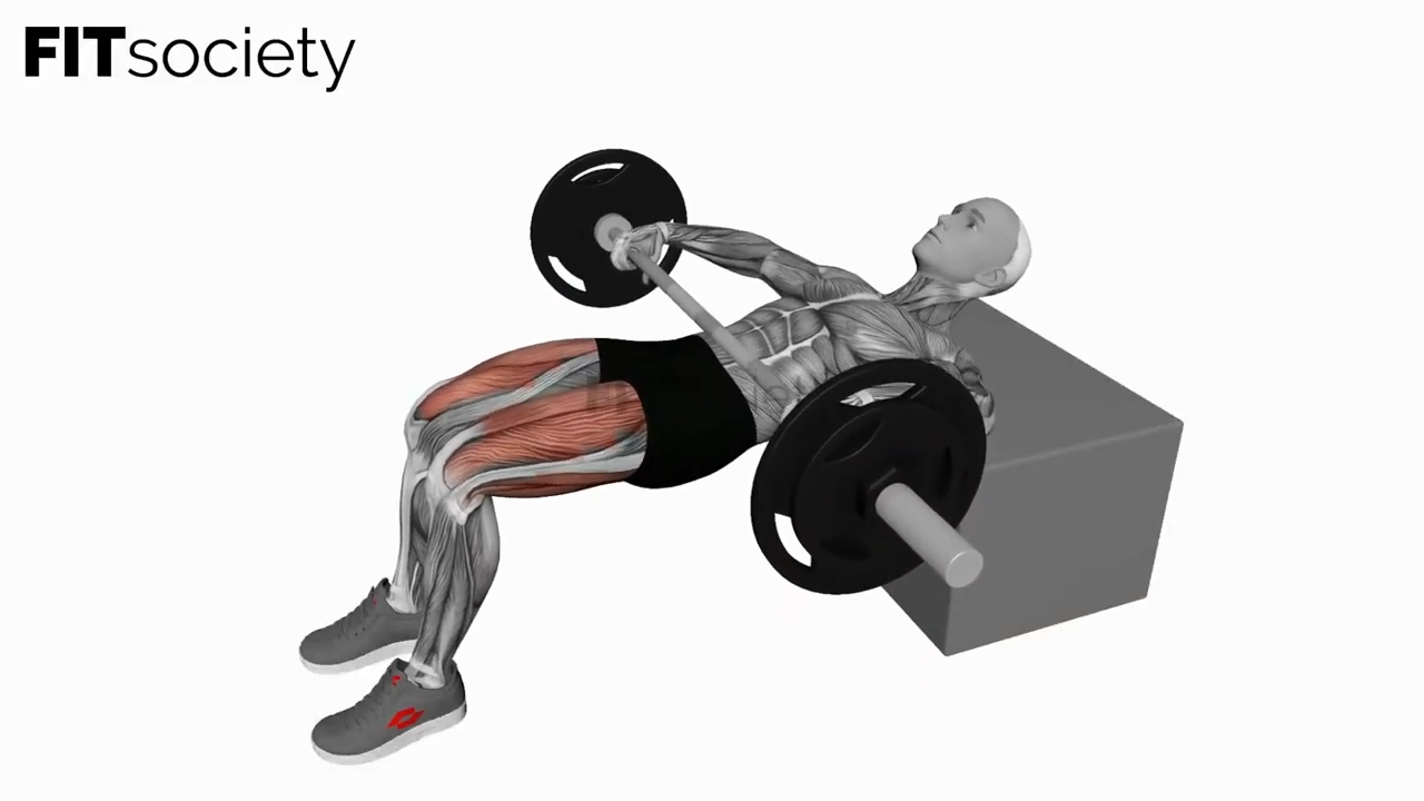 Barbell KAS Glute Bridge