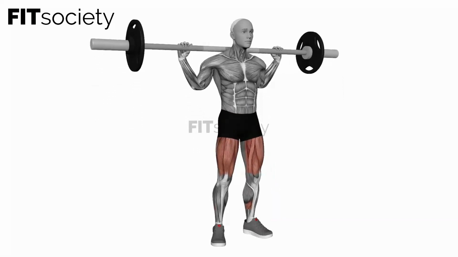 Barbell Squat With 2 Sec Hold