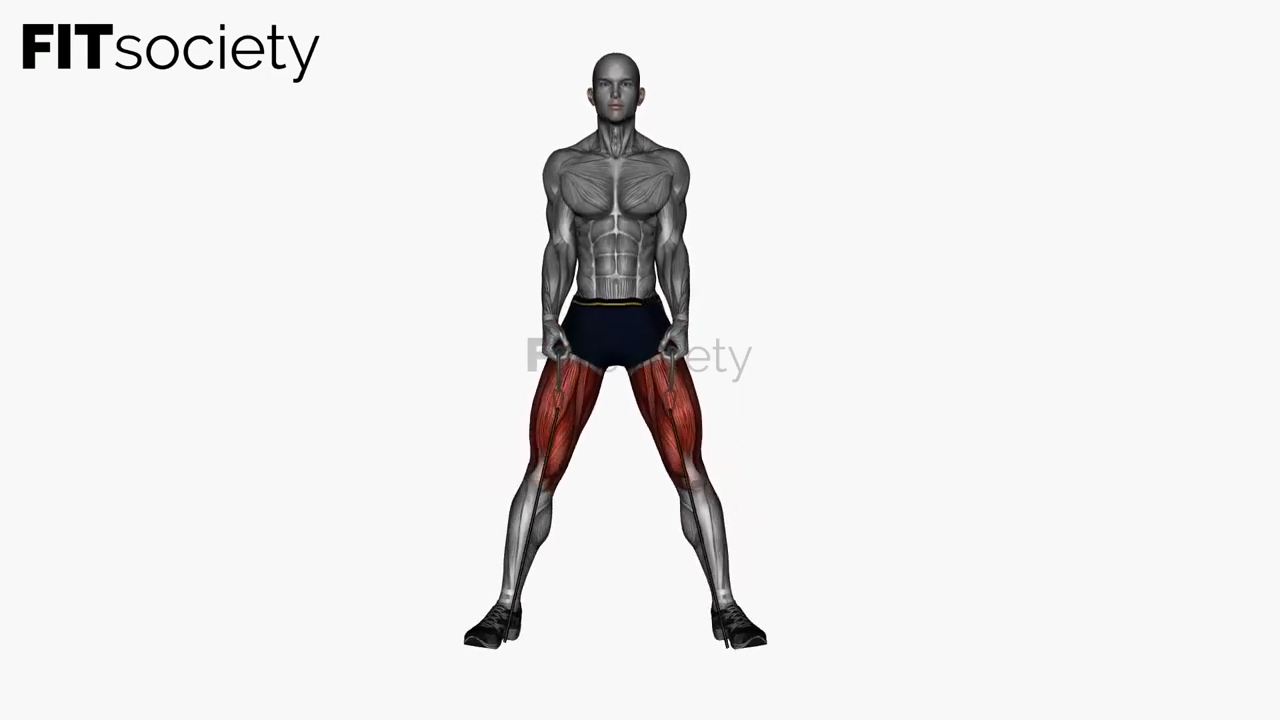 Sumo Squat In Between Legs Resistance Band