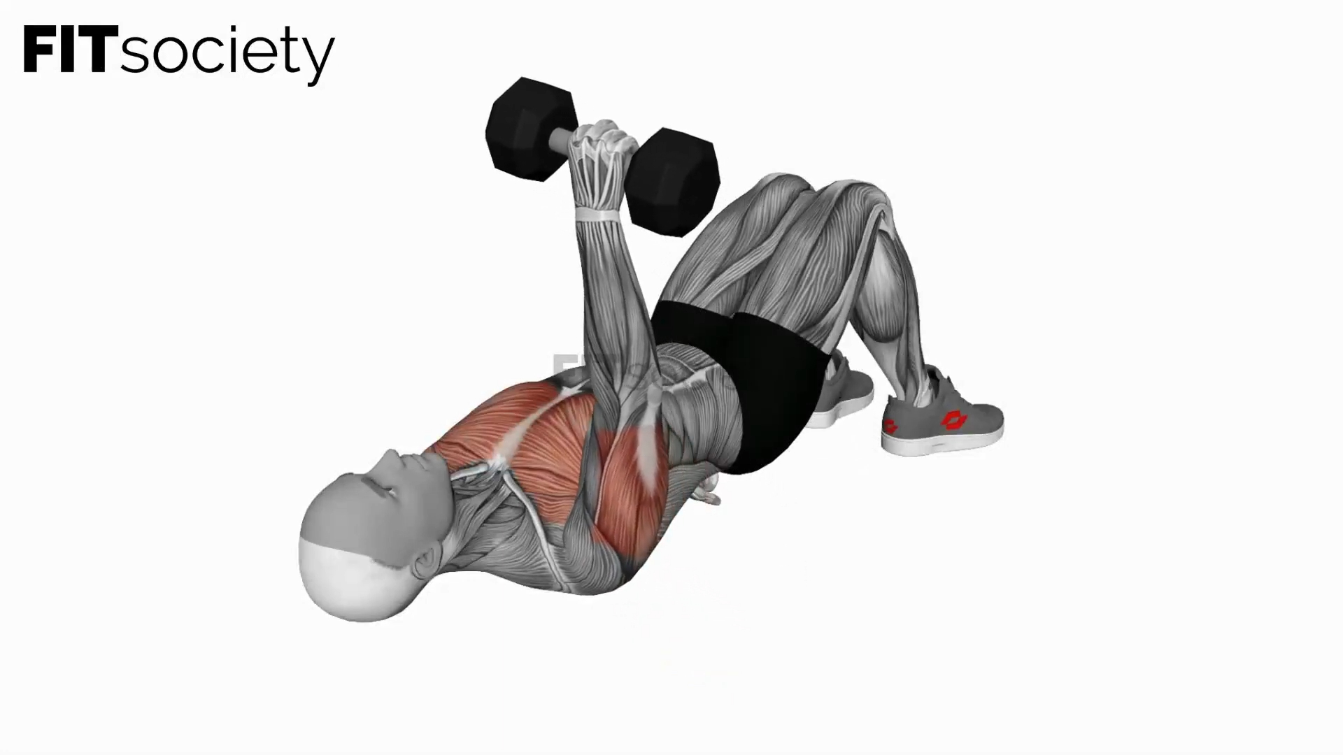 Dumbbell Single Arm Floor Press