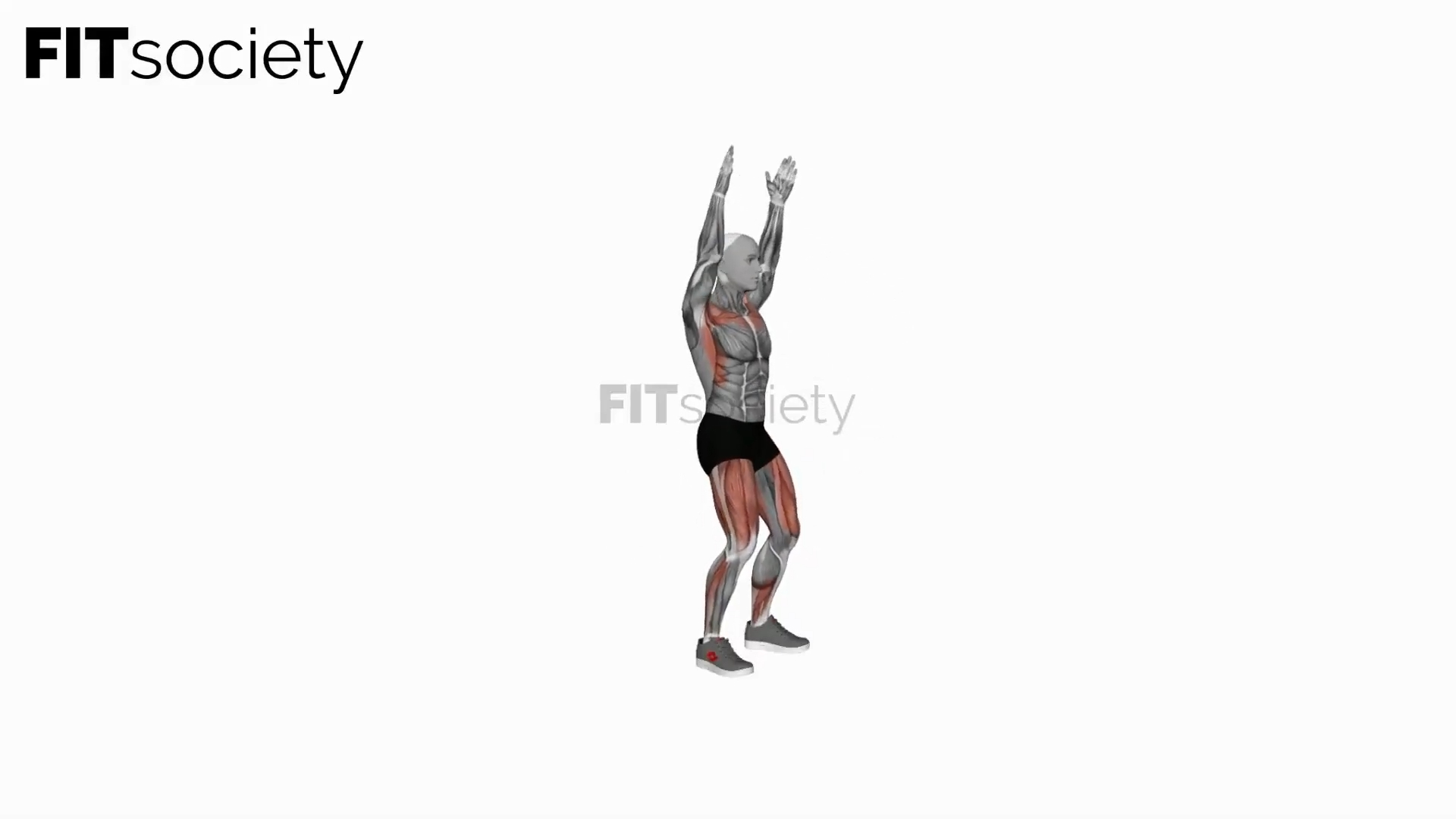 Body Throw